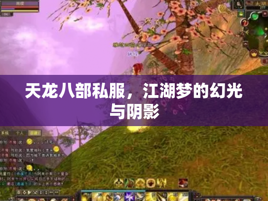 天龙八部私服，江湖梦的幻光与阴影