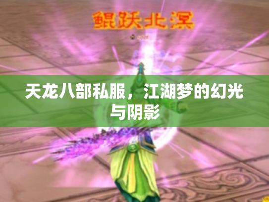 天龙八部私服，江湖梦的幻光与阴影