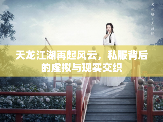天龙江湖再起风云，私服背后的虚拟与现实交织