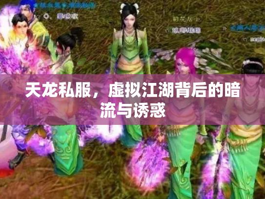 天龙私服，虚拟江湖背后的暗流与诱惑