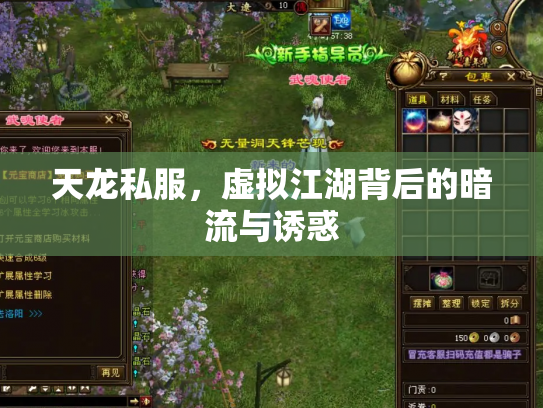 天龙私服，虚拟江湖背后的暗流与诱惑