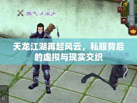 天龙江湖再起风云，私服背后的虚拟与现实交织