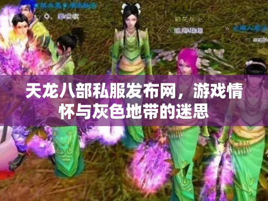 天龙八部私服发布网，游戏情怀与灰色地带的迷思