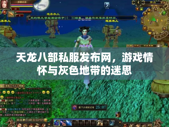 天龙八部私服发布网，游戏情怀与灰色地带的迷思