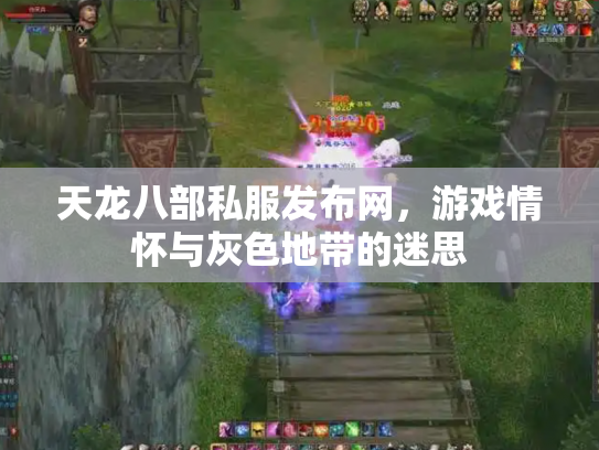 天龙八部私服发布网，游戏情怀与灰色地带的迷思
