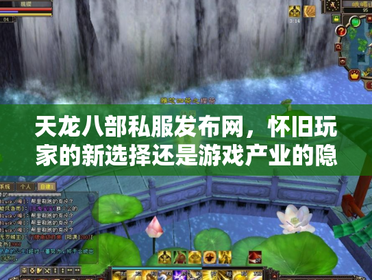 天龙八部私服发布网，怀旧玩家的新选择还是游戏产业的隐患？