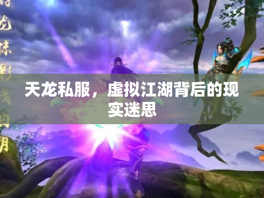 天龙私服，虚拟江湖背后的现实迷思