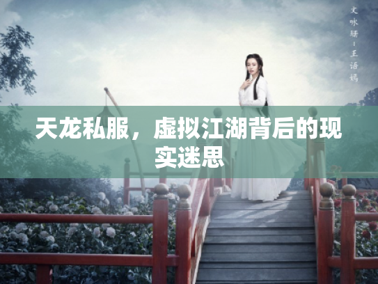 天龙私服，虚拟江湖背后的现实迷思