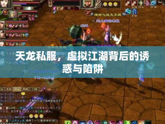 天龙私服，虚拟江湖背后的诱惑与陷阱