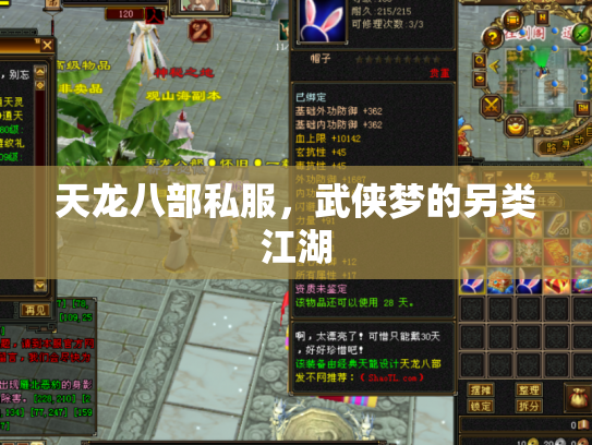 天龙八部私服，武侠梦的另类江湖