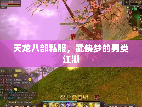 天龙八部私服，武侠梦的另类江湖