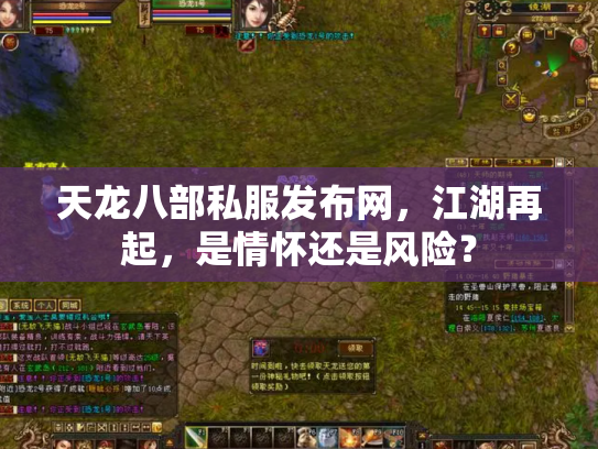 天龙八部私服发布网，江湖再起，是情怀还是风险？
