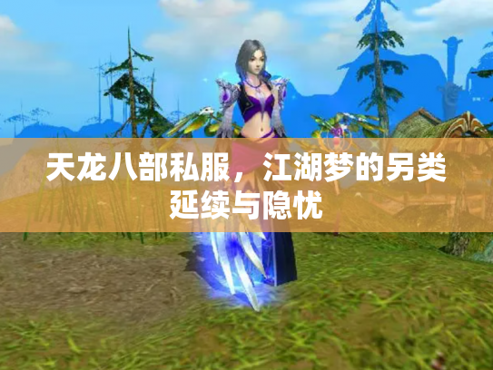 天龙八部私服，江湖梦的另类延续与隐忧