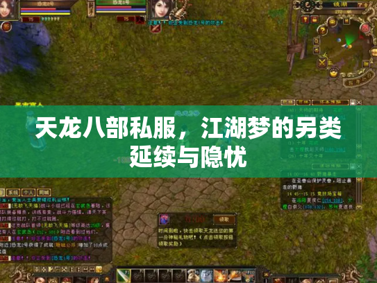 天龙八部私服，江湖梦的另类延续与隐忧