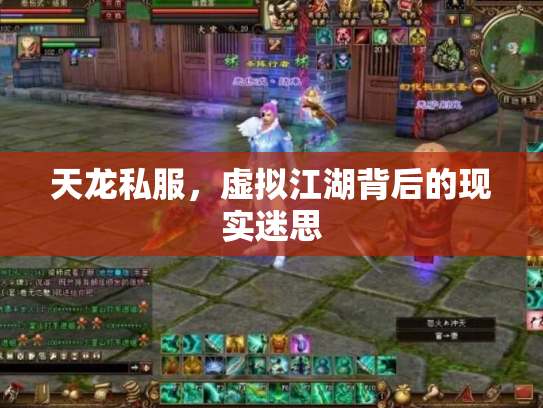 天龙私服，虚拟江湖背后的现实迷思