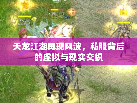天龙江湖再现风波，私服背后的虚拟与现实交织