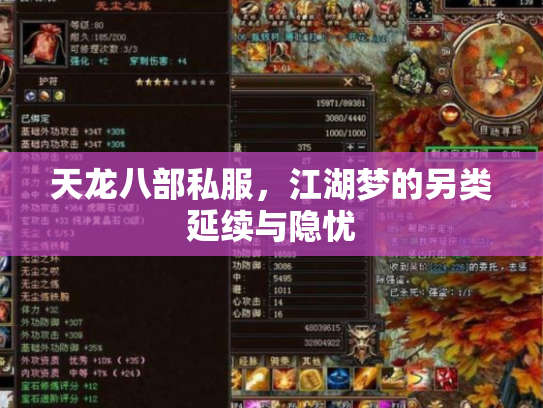天龙八部私服，江湖梦的另类延续与隐忧