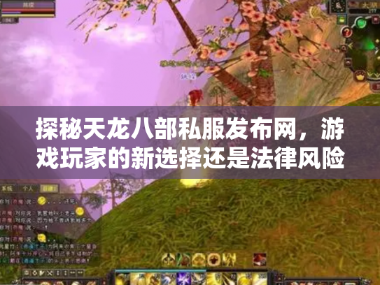 探秘天龙八部私服发布网，游戏玩家的新选择还是法律风险？