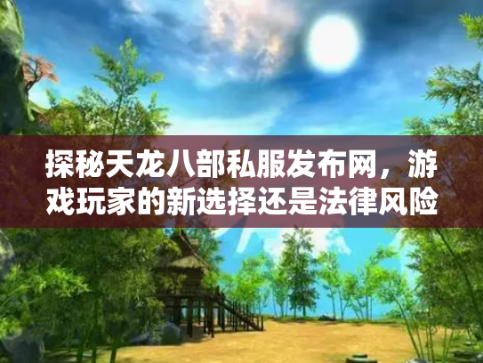 探秘天龙八部私服发布网，游戏玩家的新选择还是法律风险？