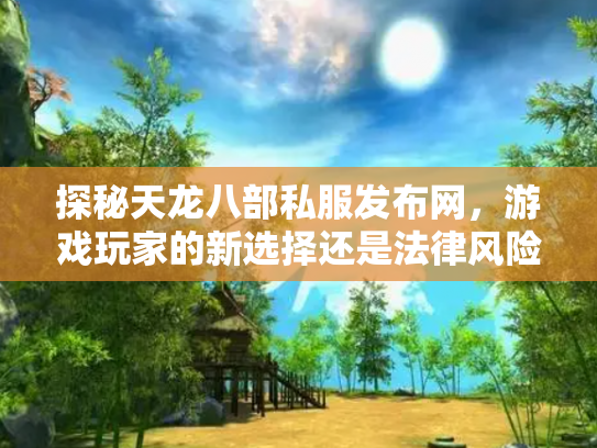 探秘天龙八部私服发布网，游戏玩家的新选择还是法律风险？