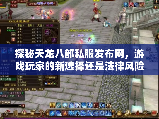 探秘天龙八部私服发布网，游戏玩家的新选择还是法律风险？