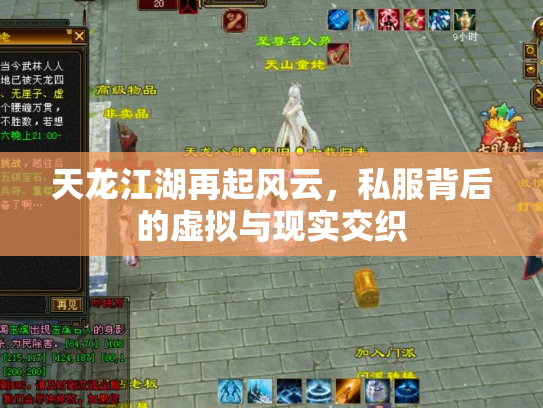 天龙江湖再起风云，私服背后的虚拟与现实交织