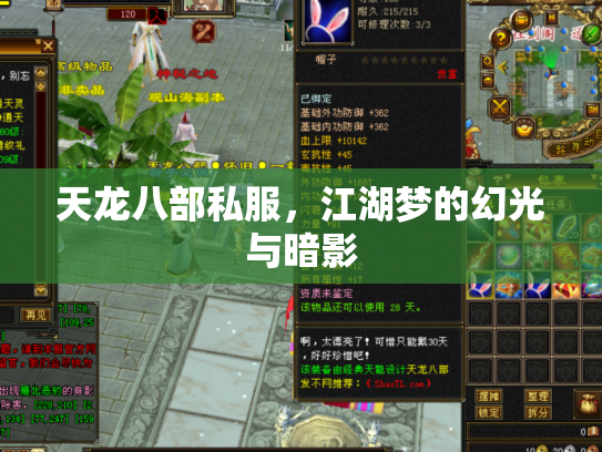 天龙八部私服，江湖梦的幻光与暗影