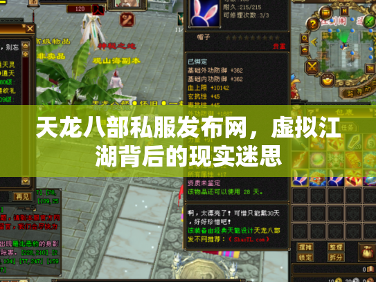 天龙八部私服发布网，虚拟江湖背后的现实迷思