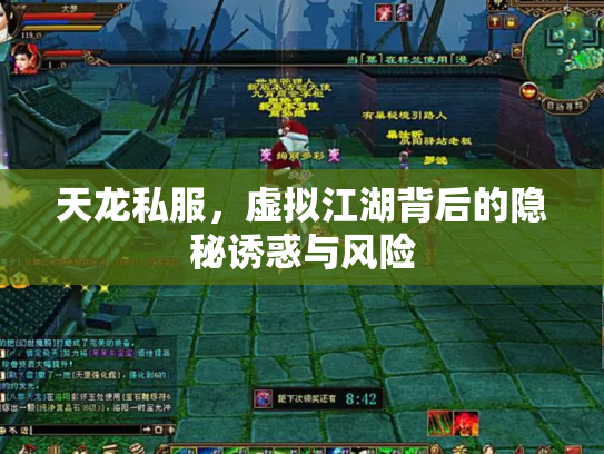 天龙私服，虚拟江湖背后的隐秘诱惑与风险