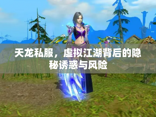 天龙私服，虚拟江湖背后的隐秘诱惑与风险