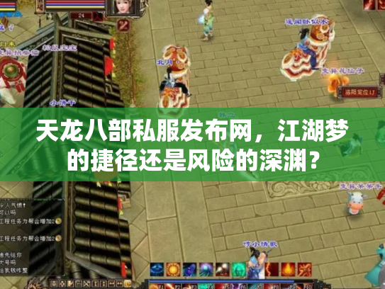 天龙八部私服发布网，江湖梦的捷径还是风险的深渊？