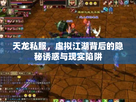 天龙私服，虚拟江湖背后的隐秘诱惑与现实陷阱