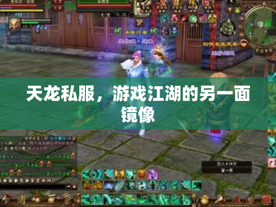 天龙私服，游戏江湖的另一面镜像