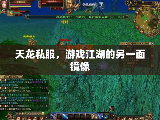 天龙私服，游戏江湖的另一面镜像