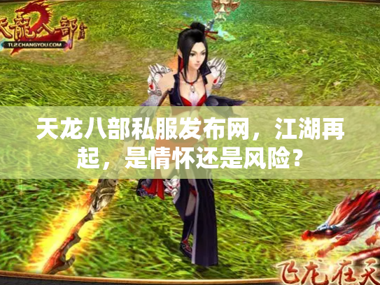 天龙八部私服发布网，江湖再起，是情怀还是风险？