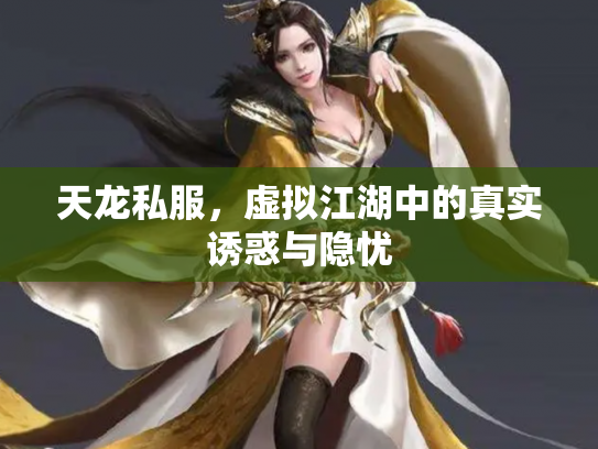 天龙私服，虚拟江湖中的真实诱惑与隐忧