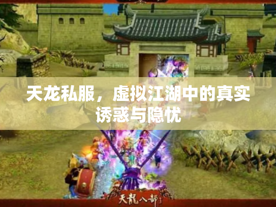 天龙私服，虚拟江湖中的真实诱惑与隐忧