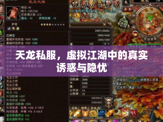 天龙私服，虚拟江湖中的真实诱惑与隐忧