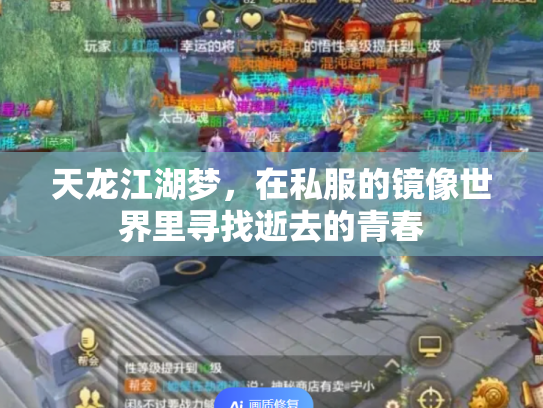 天龙江湖梦，在私服的镜像世界里寻找逝去的青春
