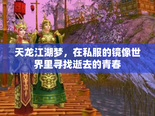 天龙江湖梦，在私服的镜像世界里寻找逝去的青春