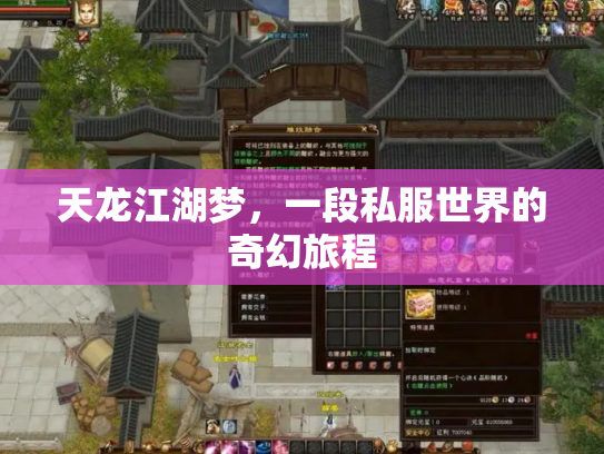 天龙江湖梦，一段私服世界的奇幻旅程