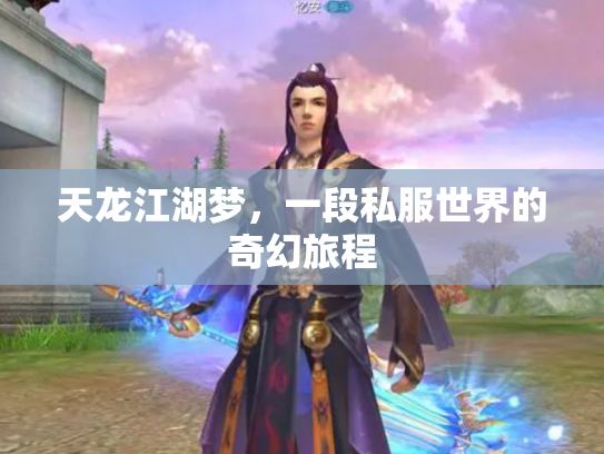 天龙江湖梦，一段私服世界的奇幻旅程