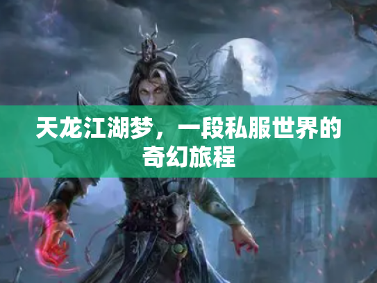 天龙江湖梦，一段私服世界的奇幻旅程