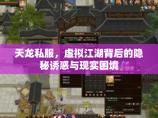 天龙私服，虚拟江湖背后的隐秘诱惑与现实困境
