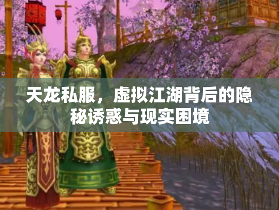 天龙私服，虚拟江湖背后的隐秘诱惑与现实困境