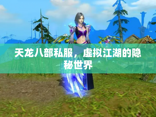 天龙八部私服，虚拟江湖的隐秘世界