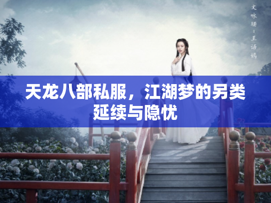 天龙八部私服，江湖梦的另类延续与隐忧