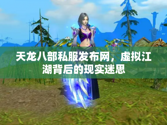 天龙八部私服发布网，虚拟江湖背后的现实迷思
