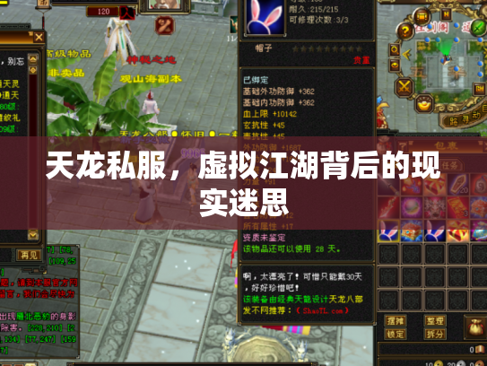 天龙私服，虚拟江湖背后的现实迷思
