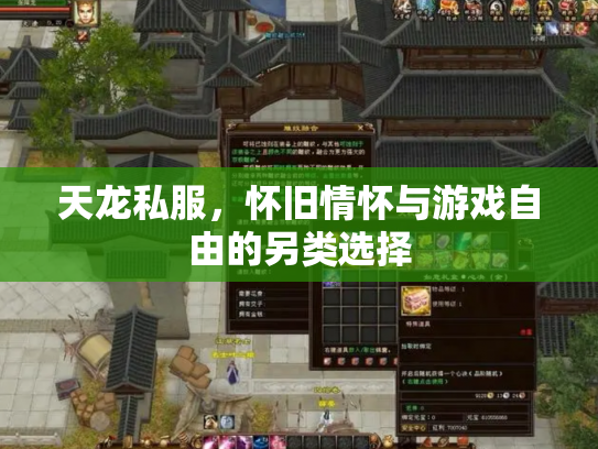 天龙私服，怀旧情怀与游戏自由的另类选择